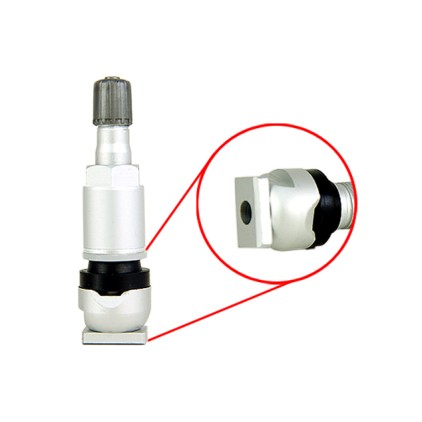 Ventilis TPMS spiediena sensoram – 10